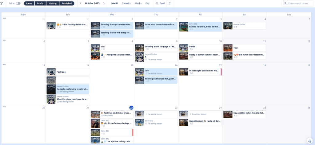 Centralized calendar for a social media content plan.